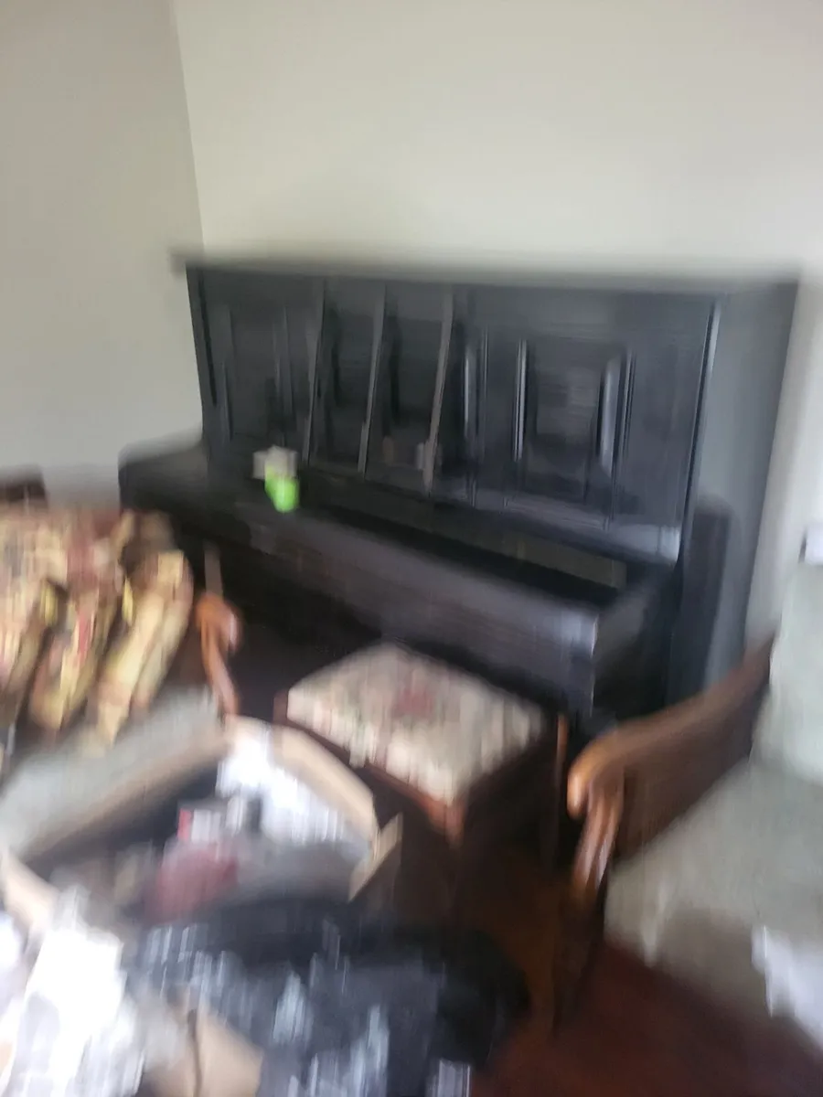 Piano and sofas - Image 2