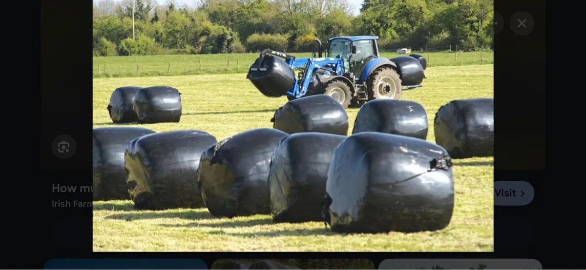 Round bales silage
