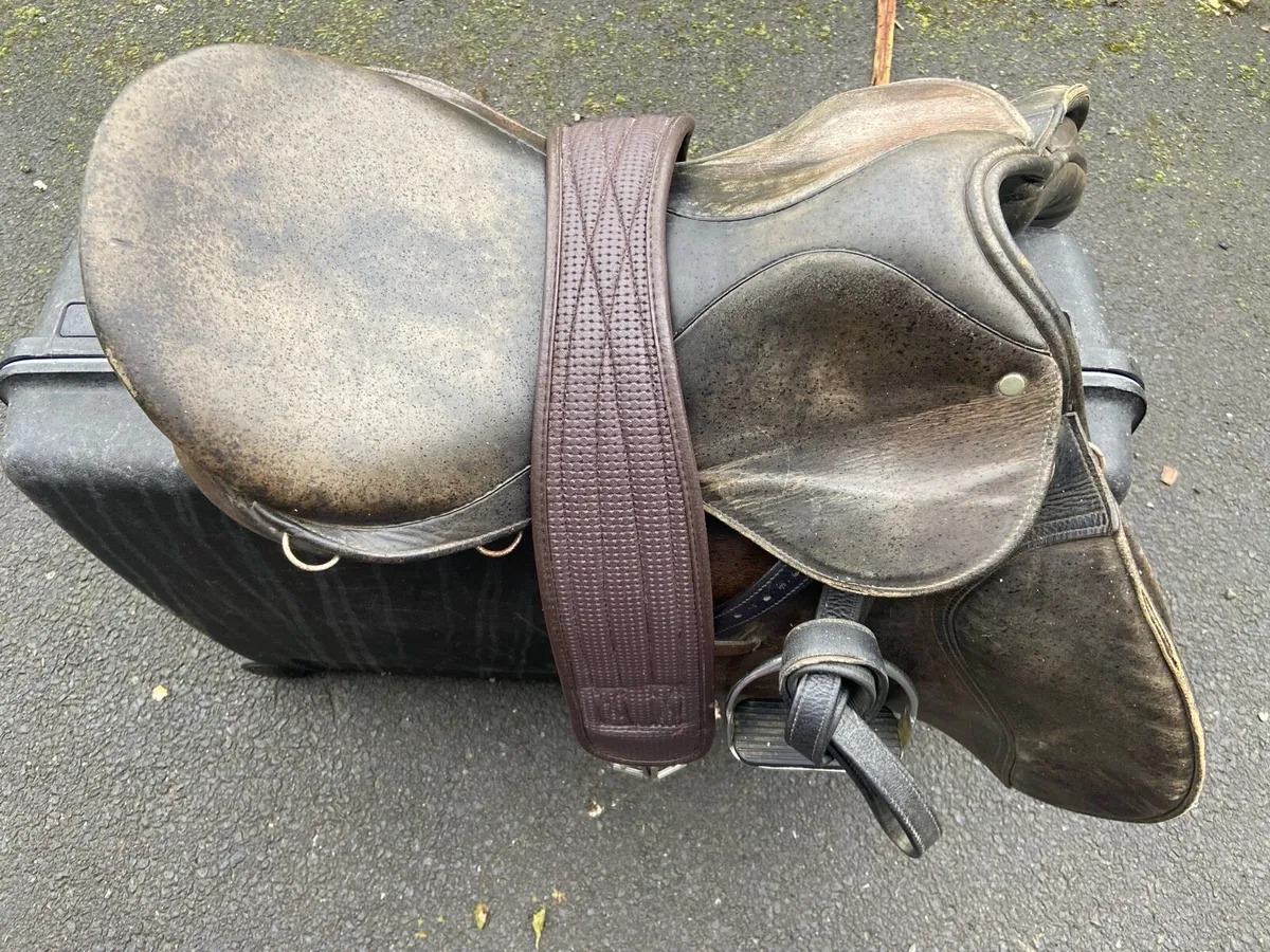 Jumping Saddle - Image 2