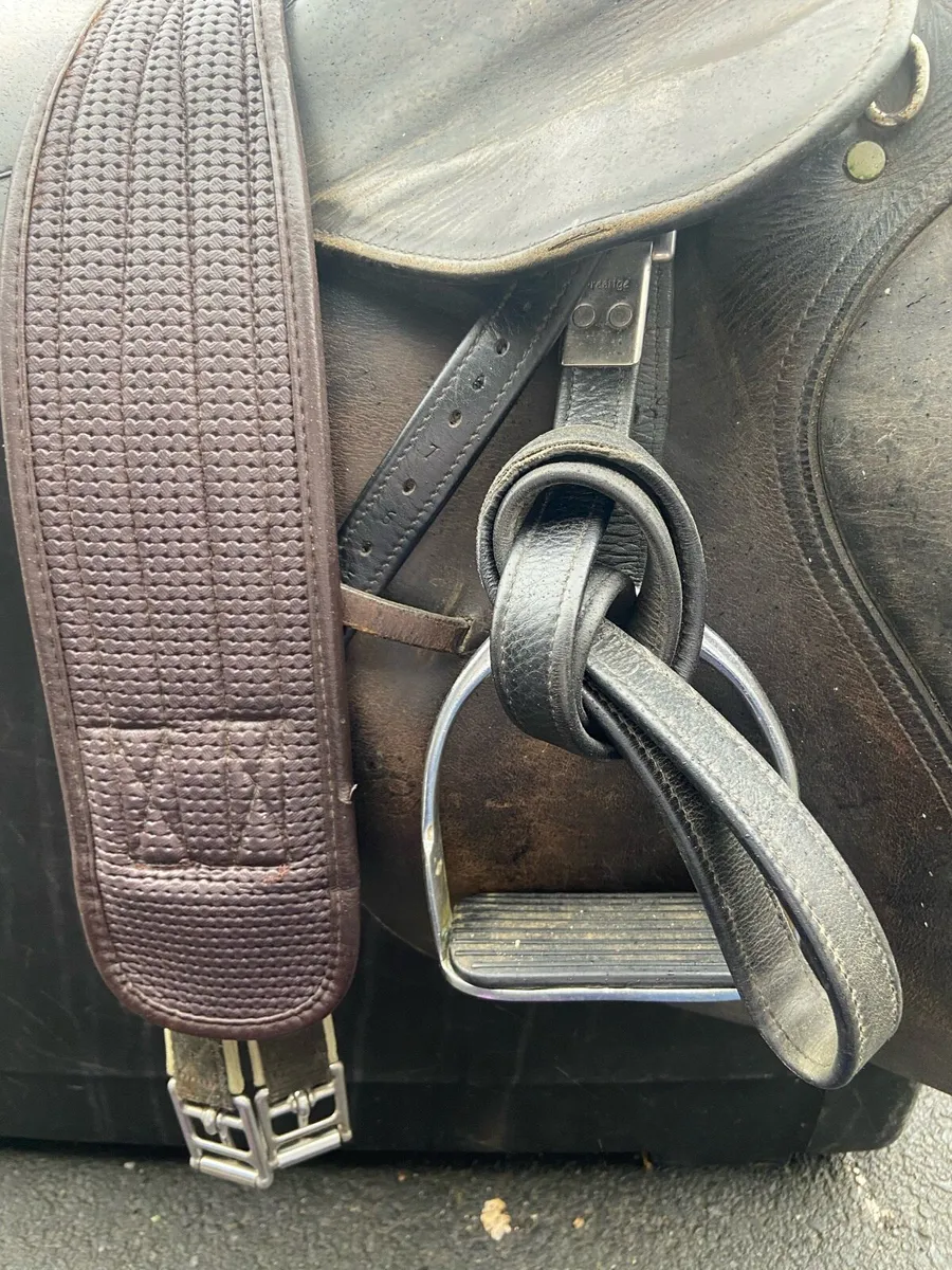 Jumping Saddle - Image 4