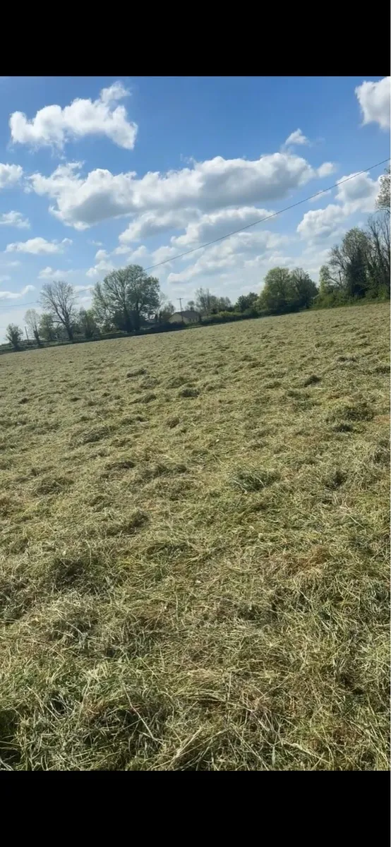 🚨Equine haylage 🚨 - Image 2