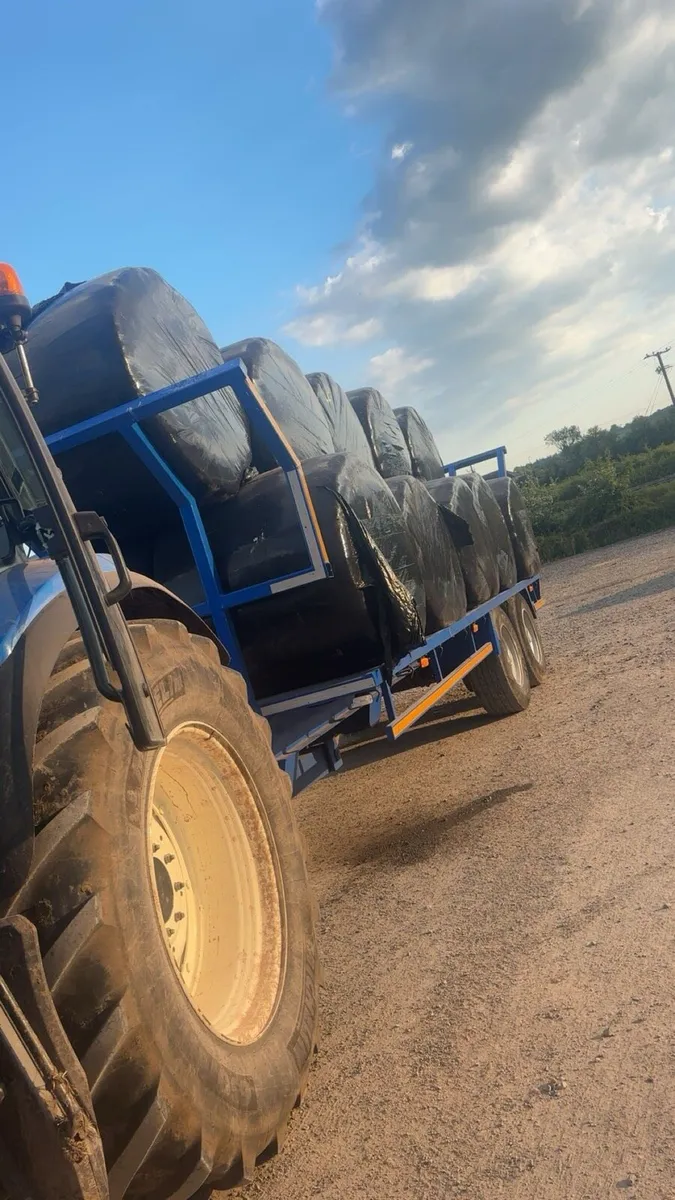 🚨Equine haylage 🚨 - Image 3