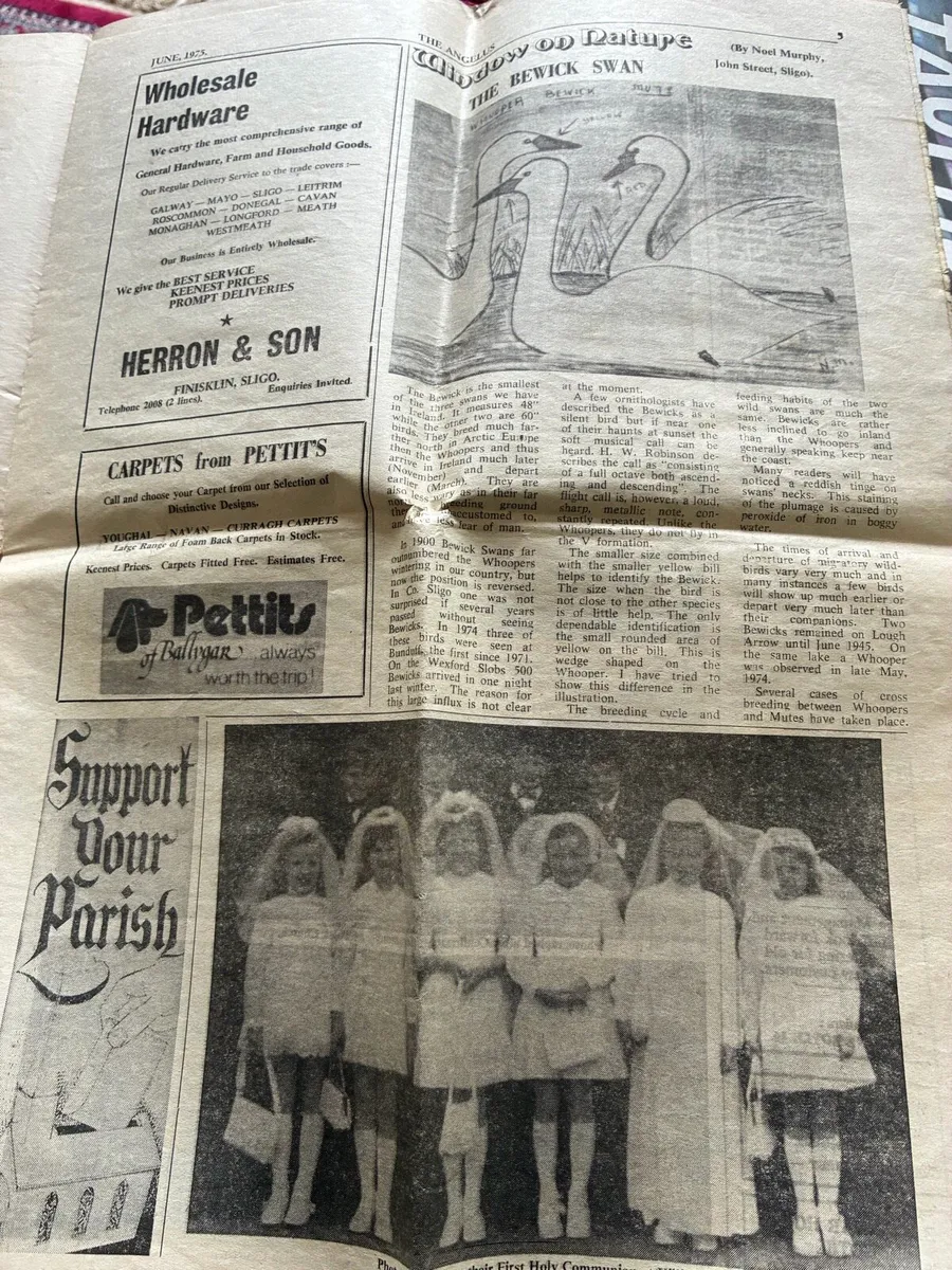 Sligo Angelus 1975 - Image 4
