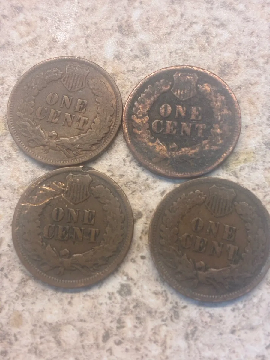 4 Indian head cents - Image 2