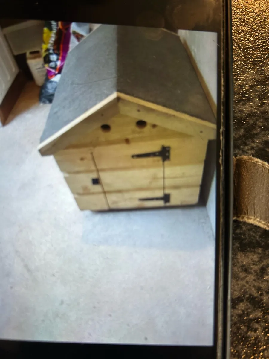 Dog House - Image 2