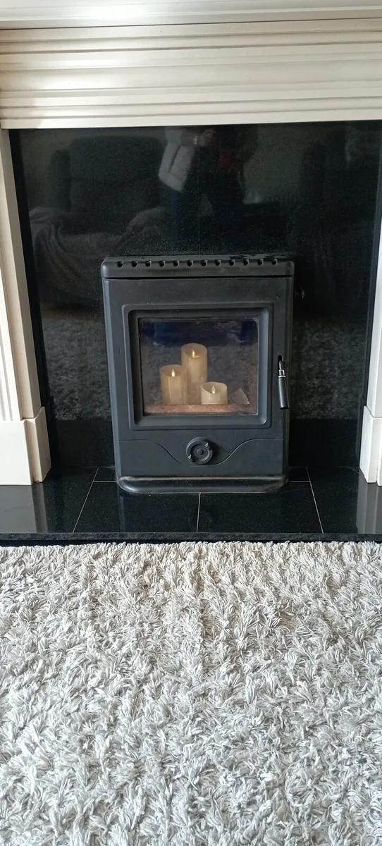 Horse Flame solid fuel insert stove - Image 1