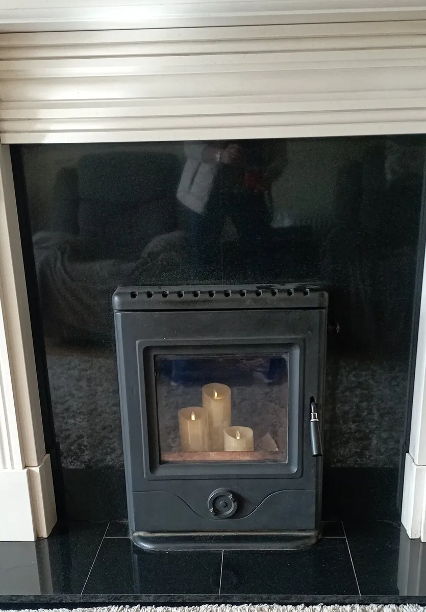 Horse Flame solid fuel insert stove - Image 2
