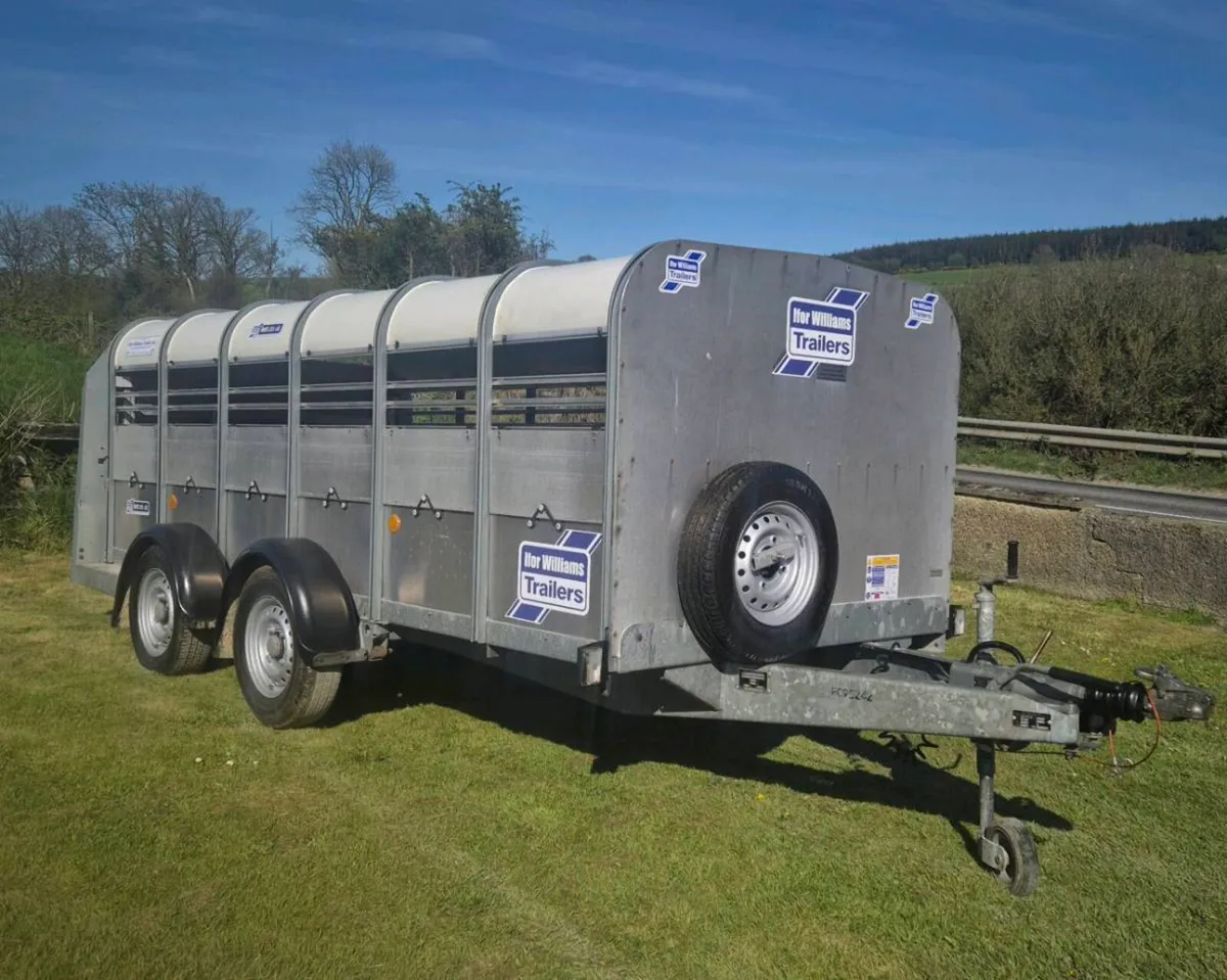 Ifor williams 12 ft low head room trailer - Image 1