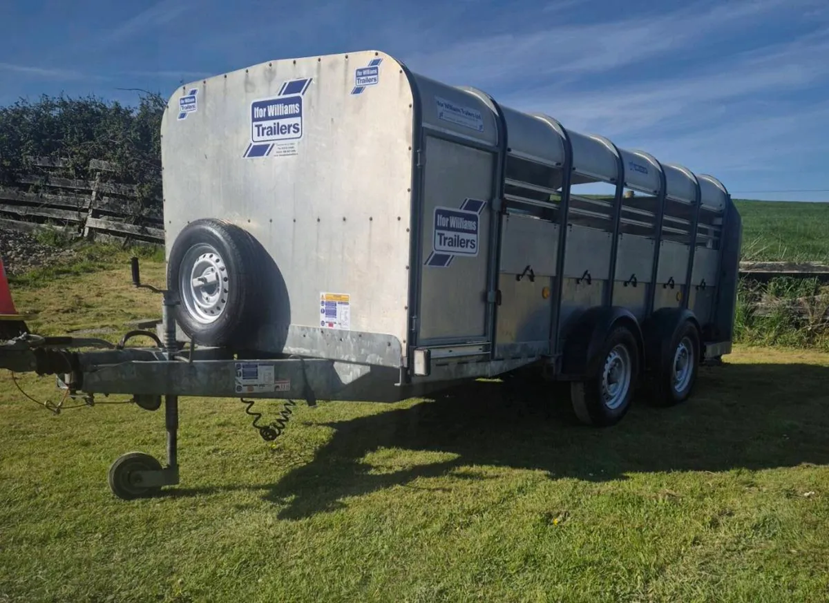 Ifor williams 12 ft low head room trailer - Image 3