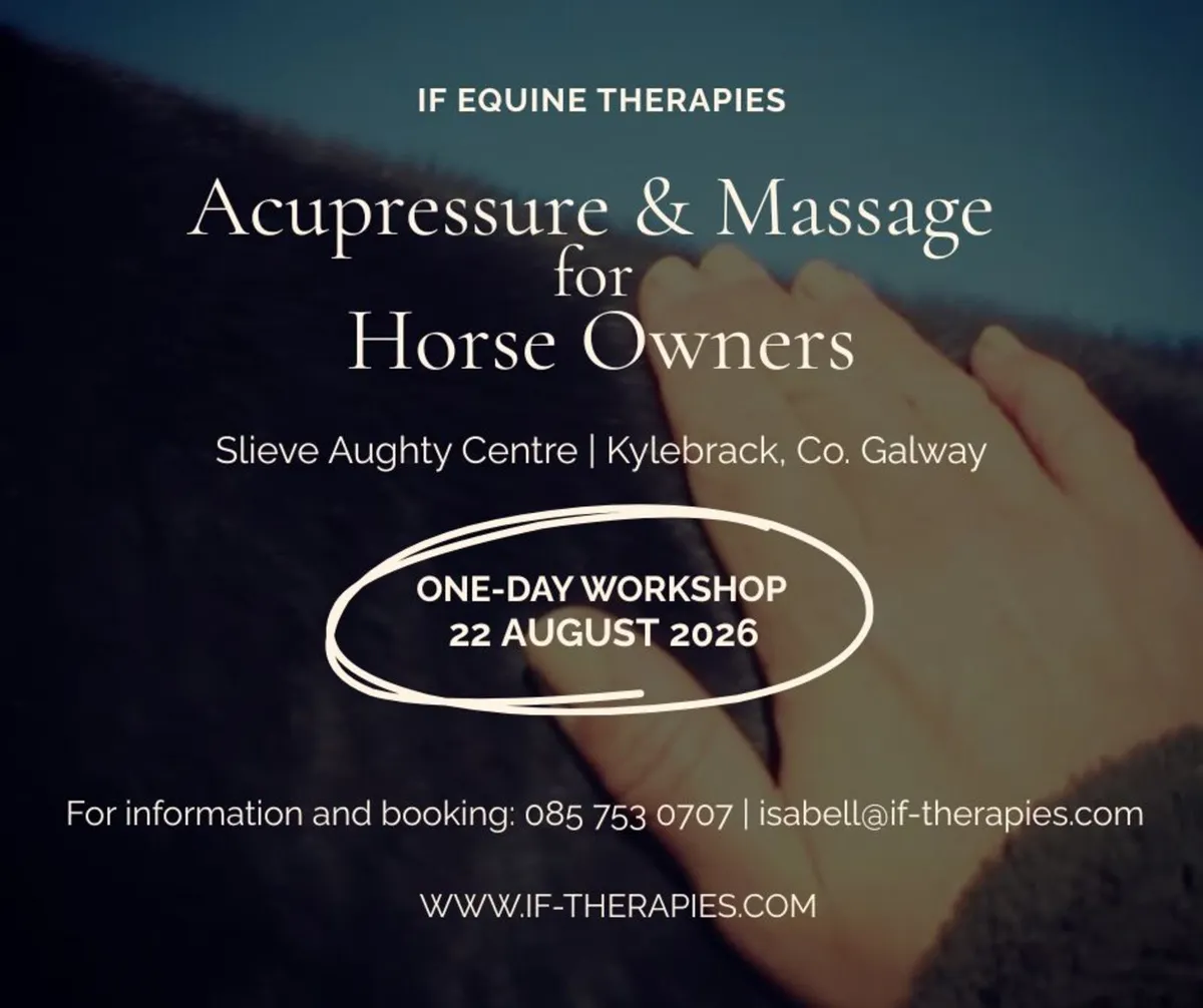 Acupressure & Massage for Horse Owners - Image 1