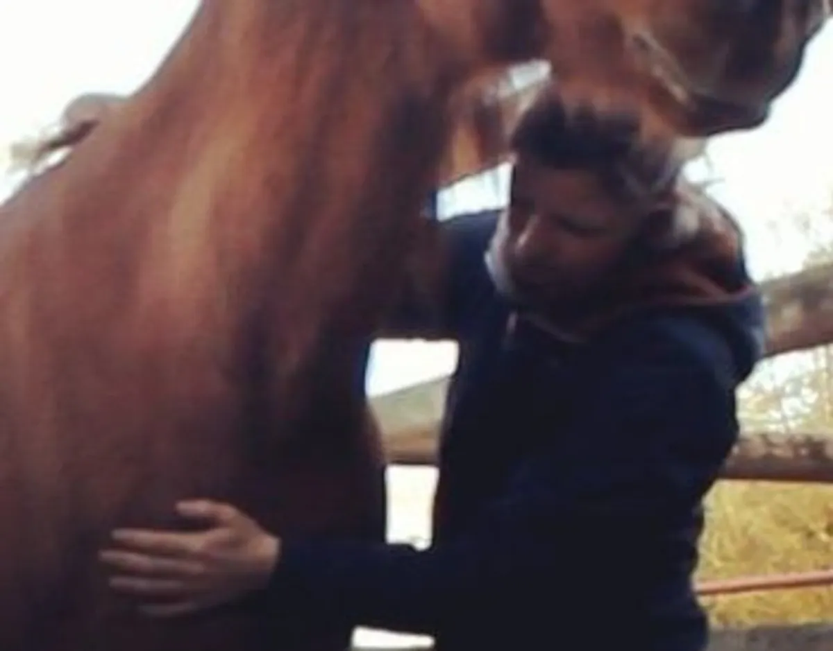 Acupressure & Massage for Horse Owners - Image 2