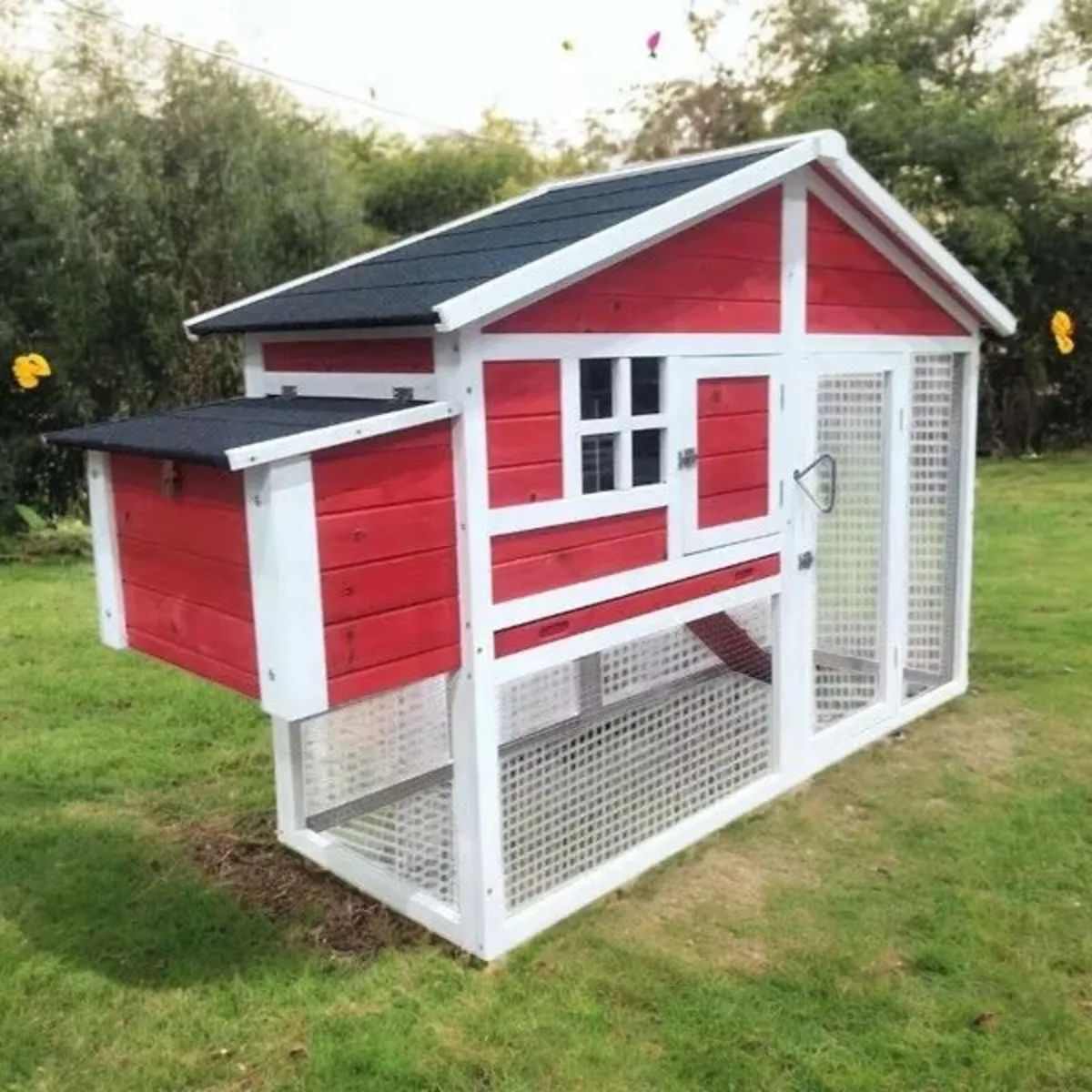 Chicken Coop 4 6 Hens - Image 3