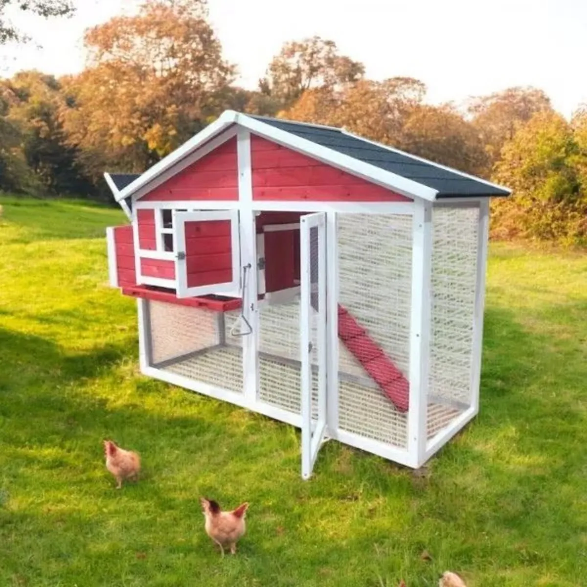 Chicken Coop 4 6 Hens - Image 4