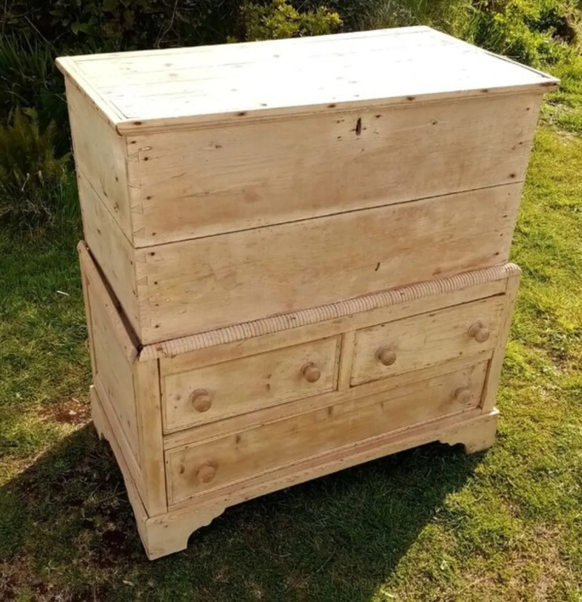 Antique Irish Pine Furniture Blanket Chest - Image 2