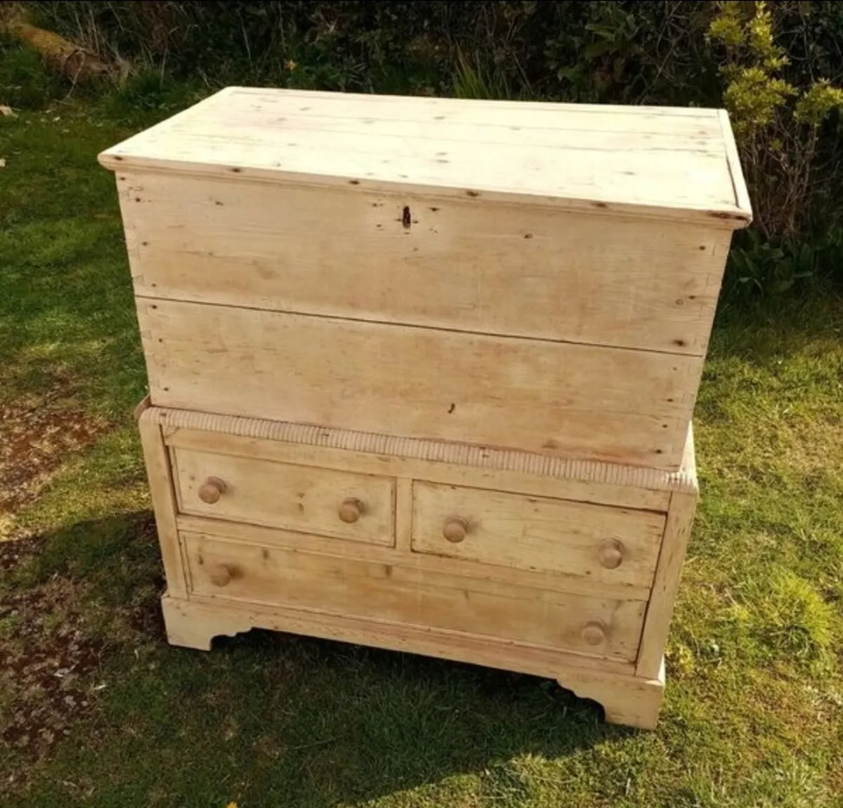Antique Irish Pine Furniture Blanket Chest - Image 1