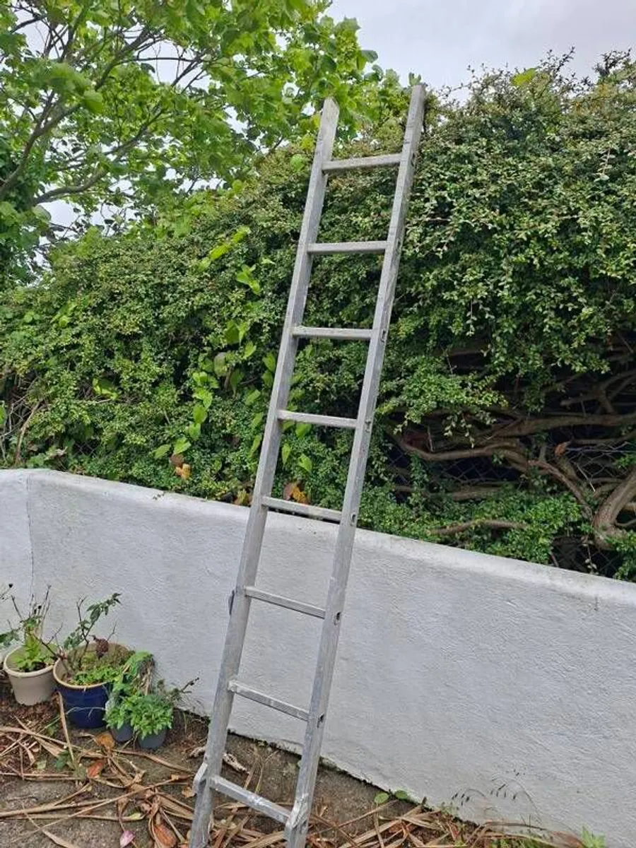 Ladder - Image 1
