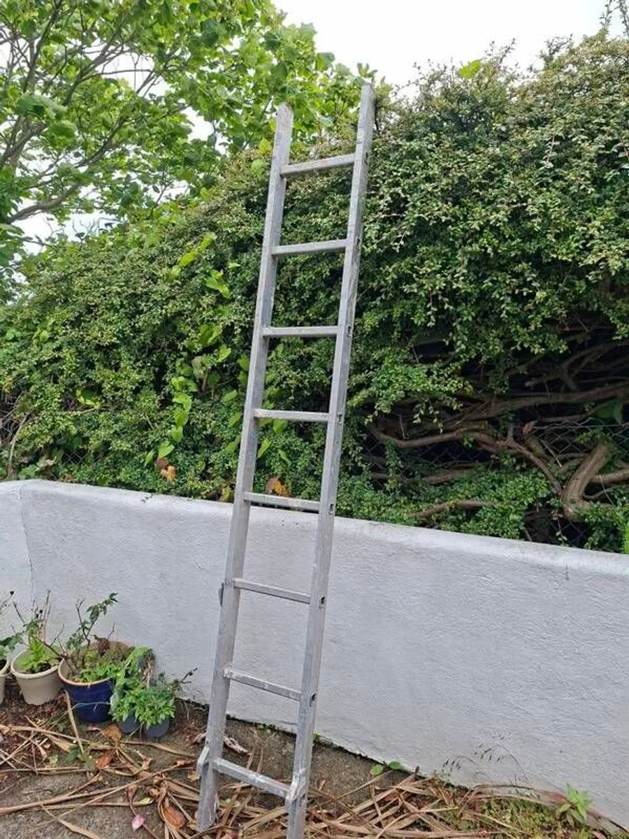 Ladder - Image 2