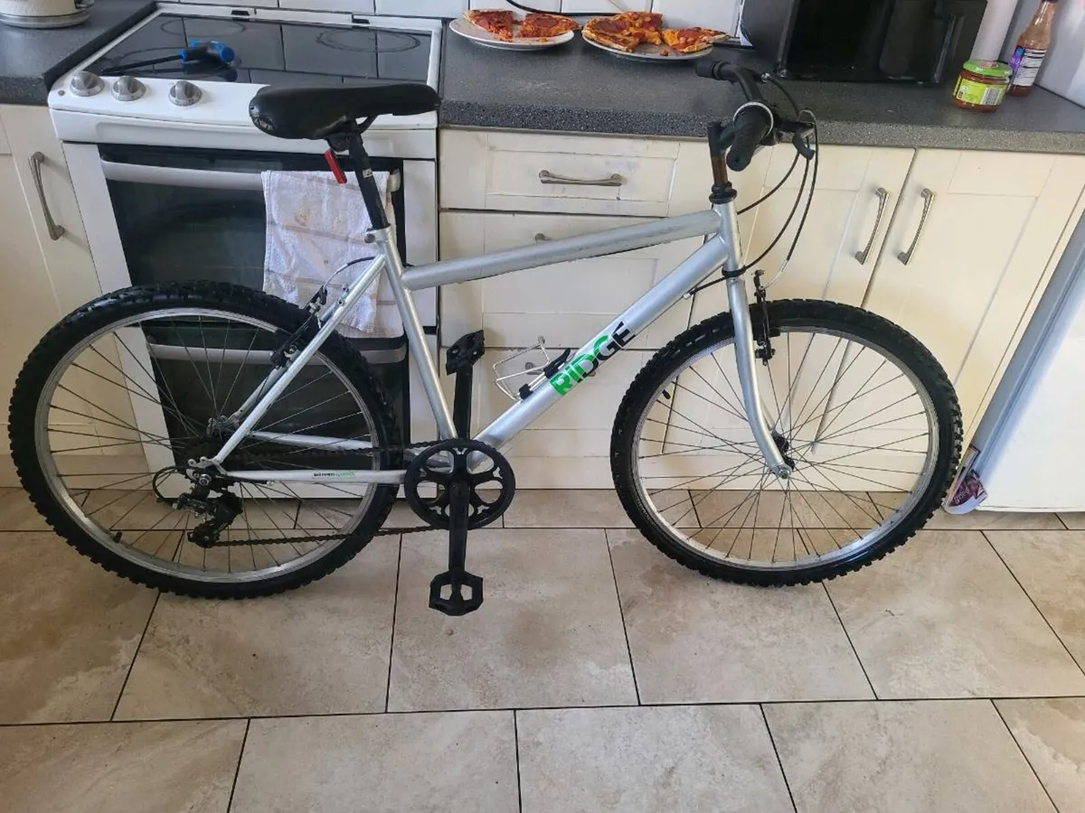 Mountain bike - Image 1