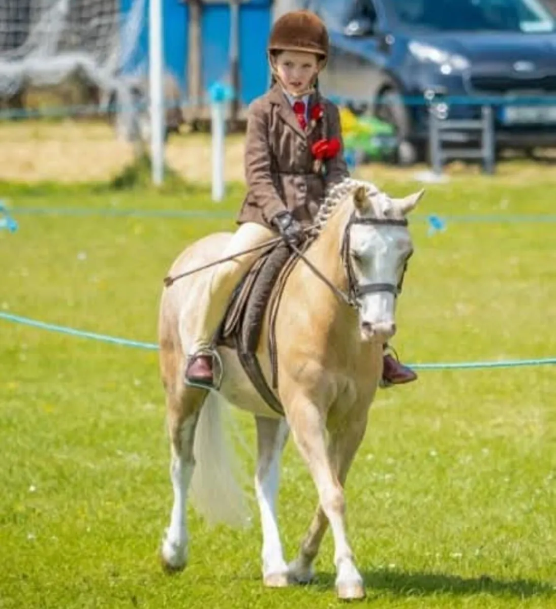 Section A First Ridden Pony - Image 2