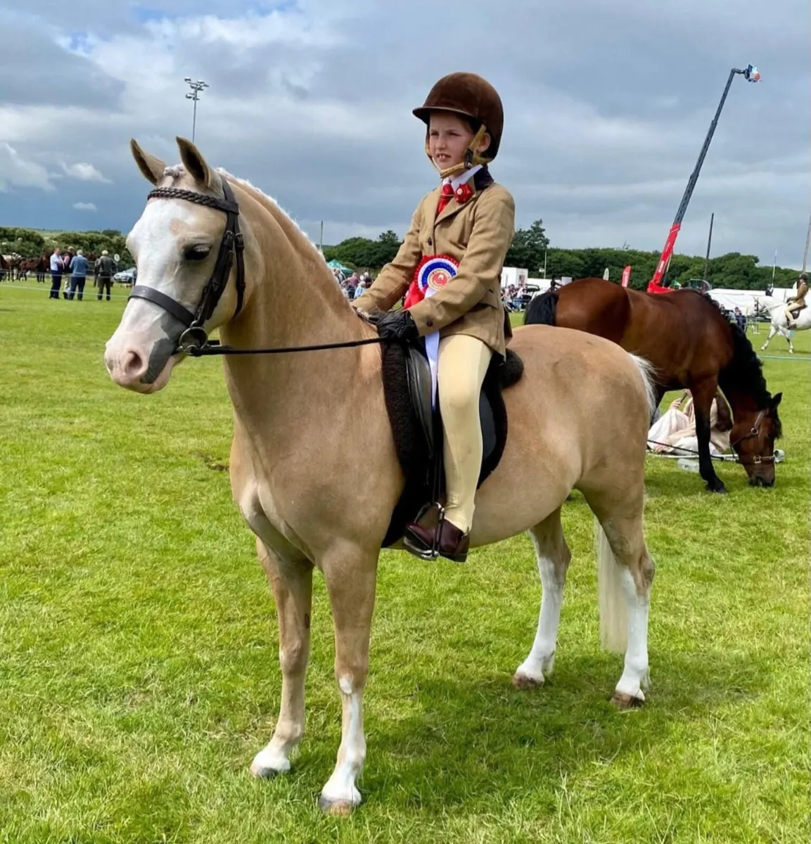 Section A First Ridden Pony - Image 3