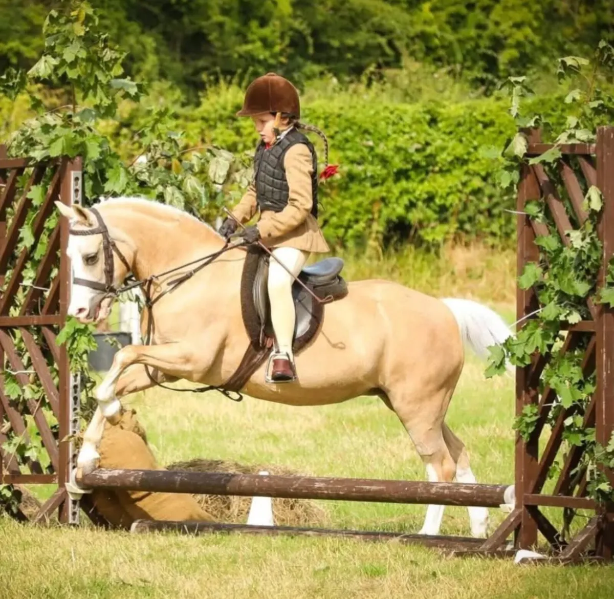 Section A First Ridden Pony - Image 1