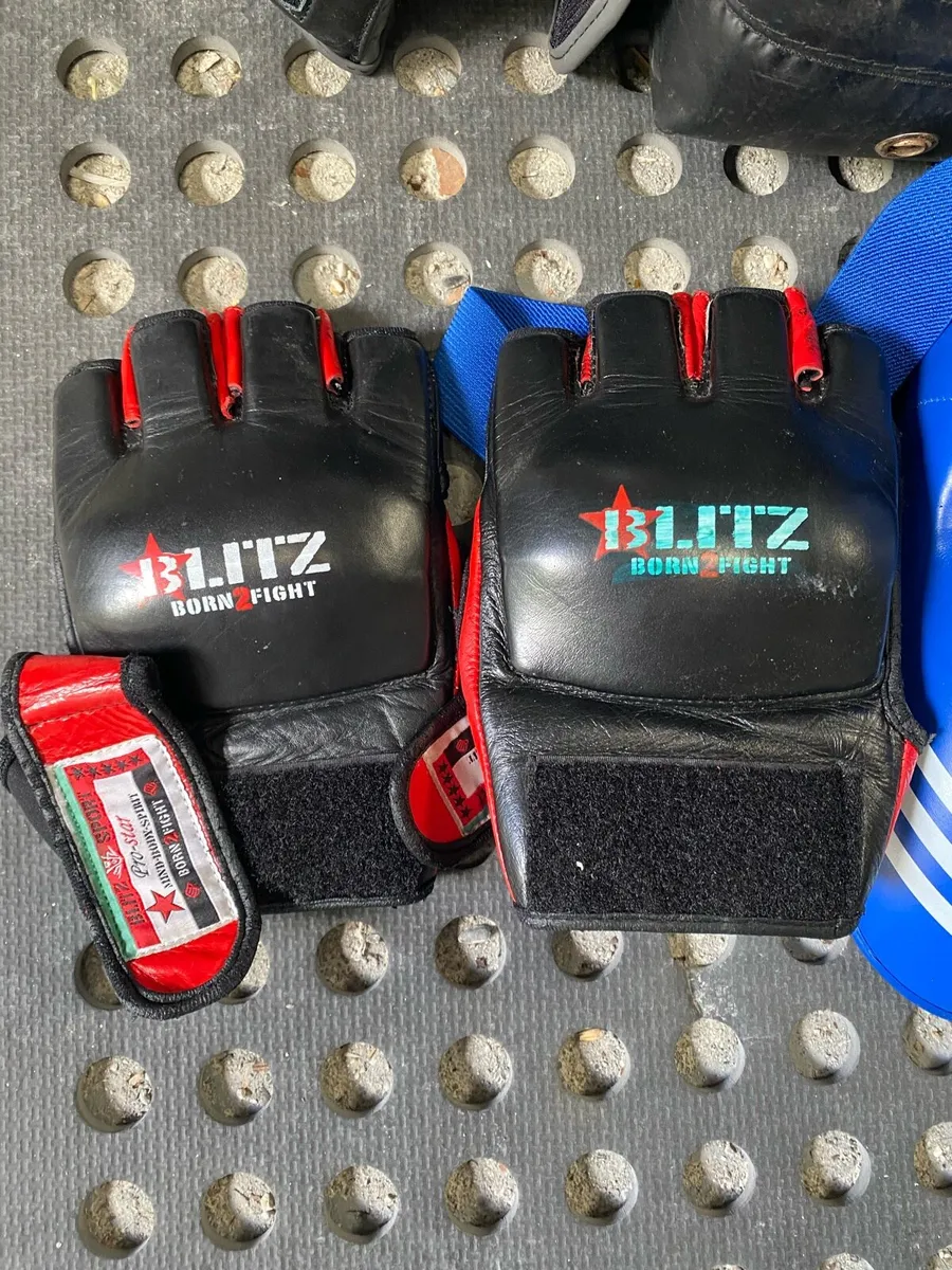 Stand up punch bag and Sparring equipment and st - Image 4