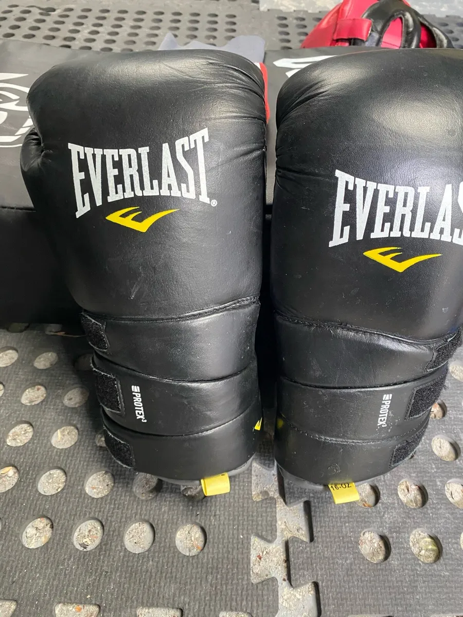 Stand up punch bag and Sparring equipment and st - Image 3