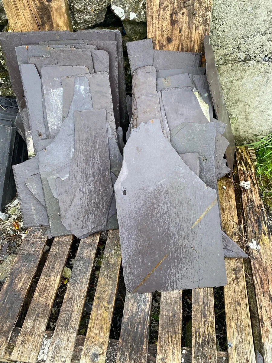 Blue Bangor Slates