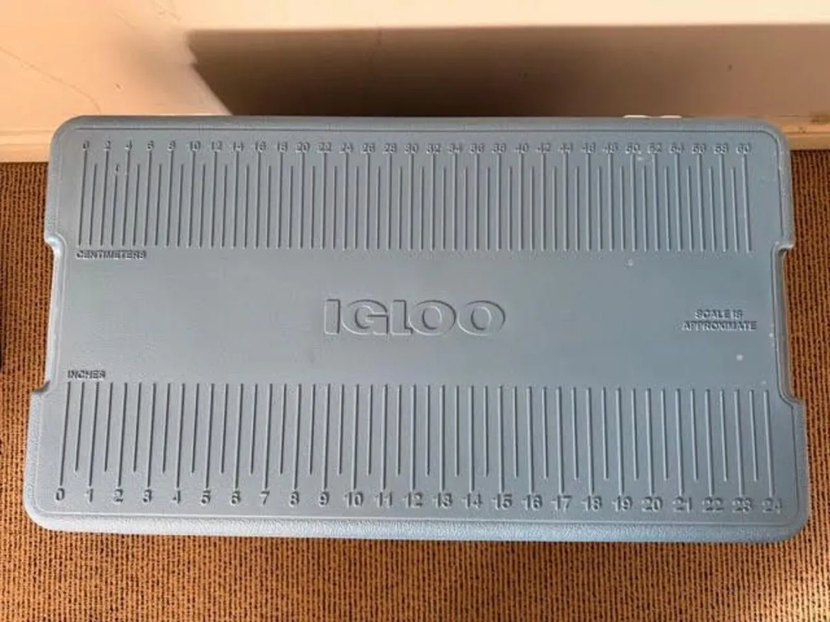 camping Igloo Maxcold Jet Large Ice cooler - Image 3