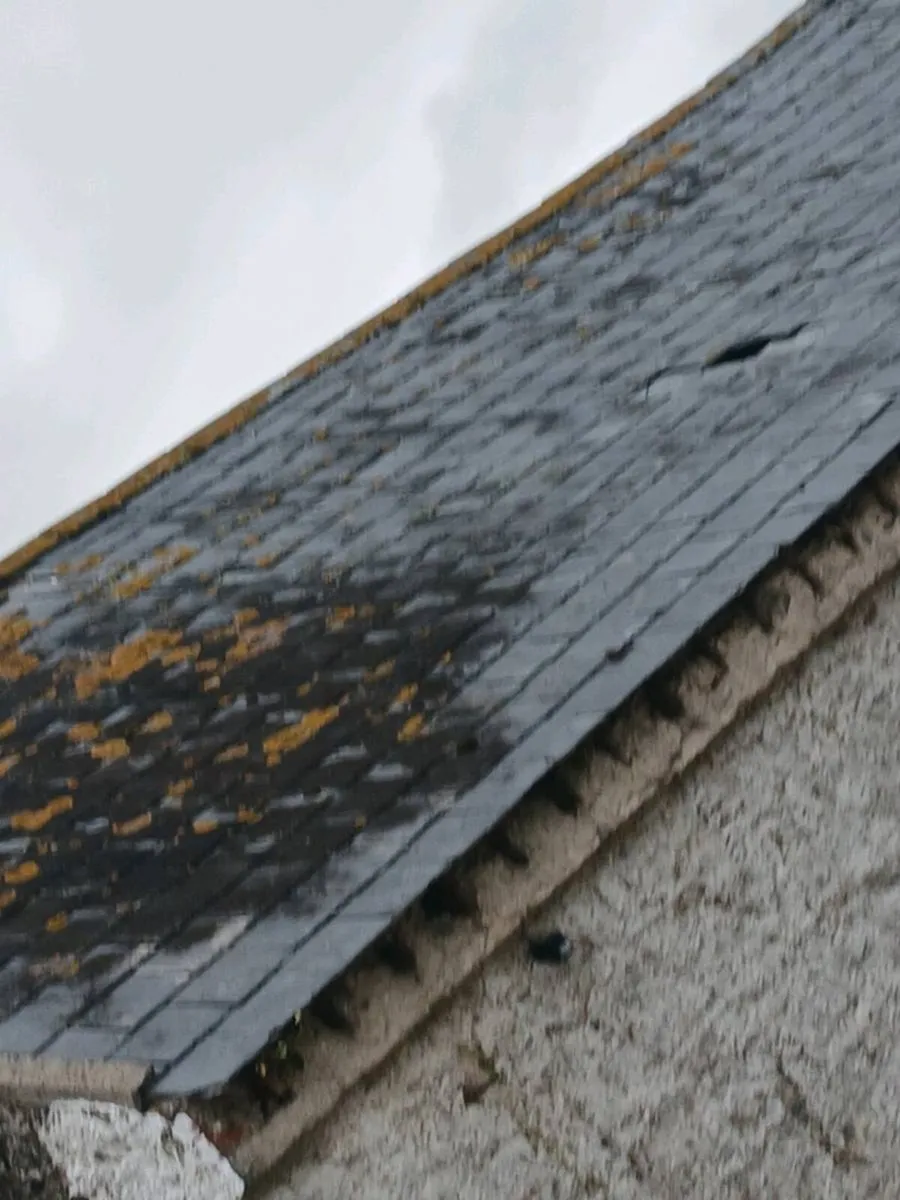 Natural slates - Image 2