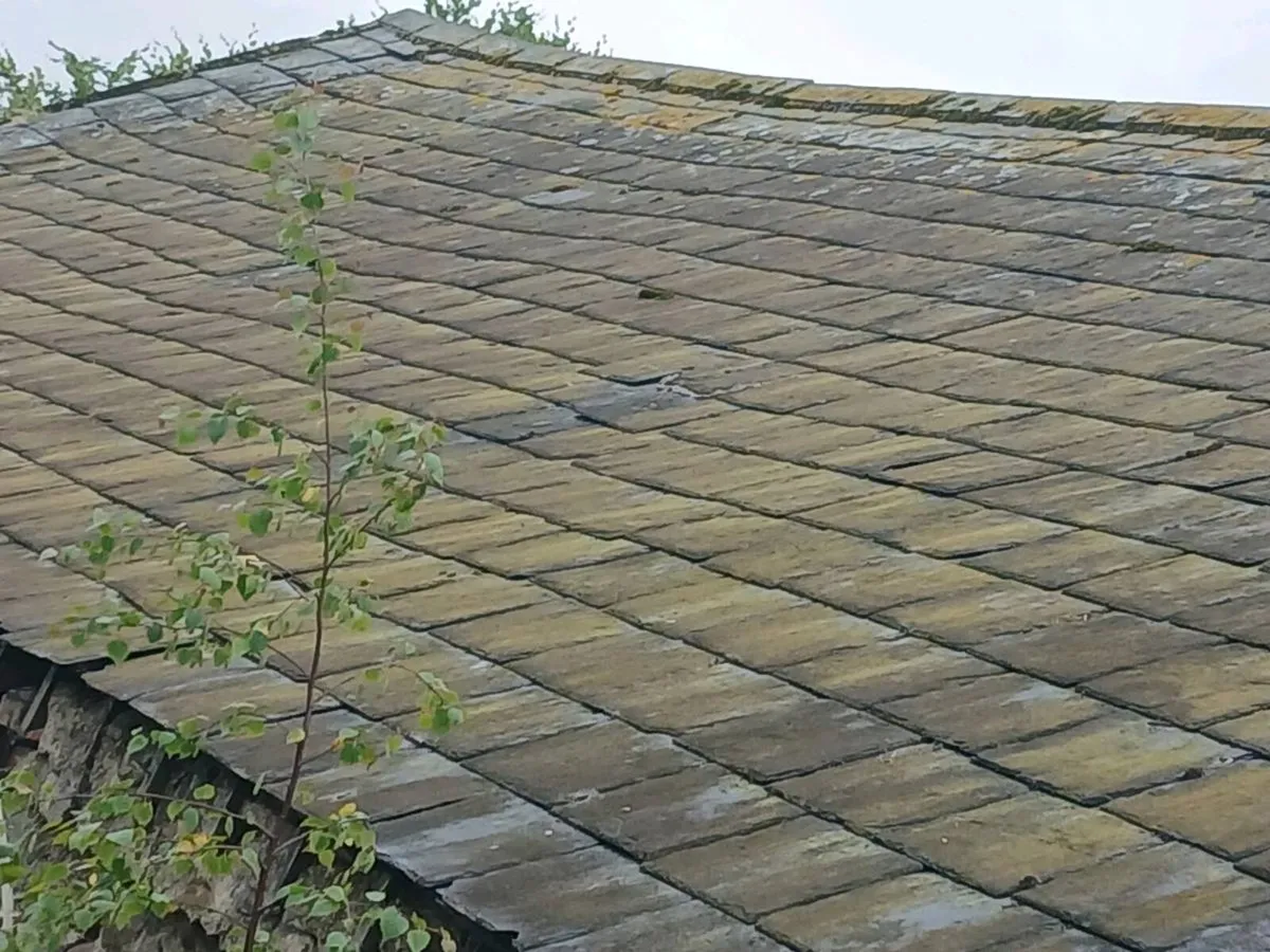 Natural slates - Image 1