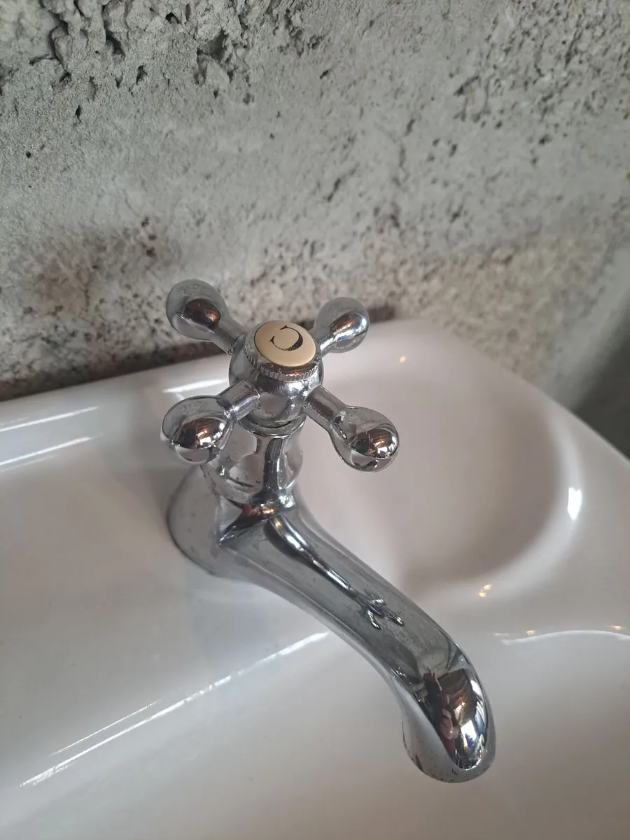 Shower door and handbasin - Image 1