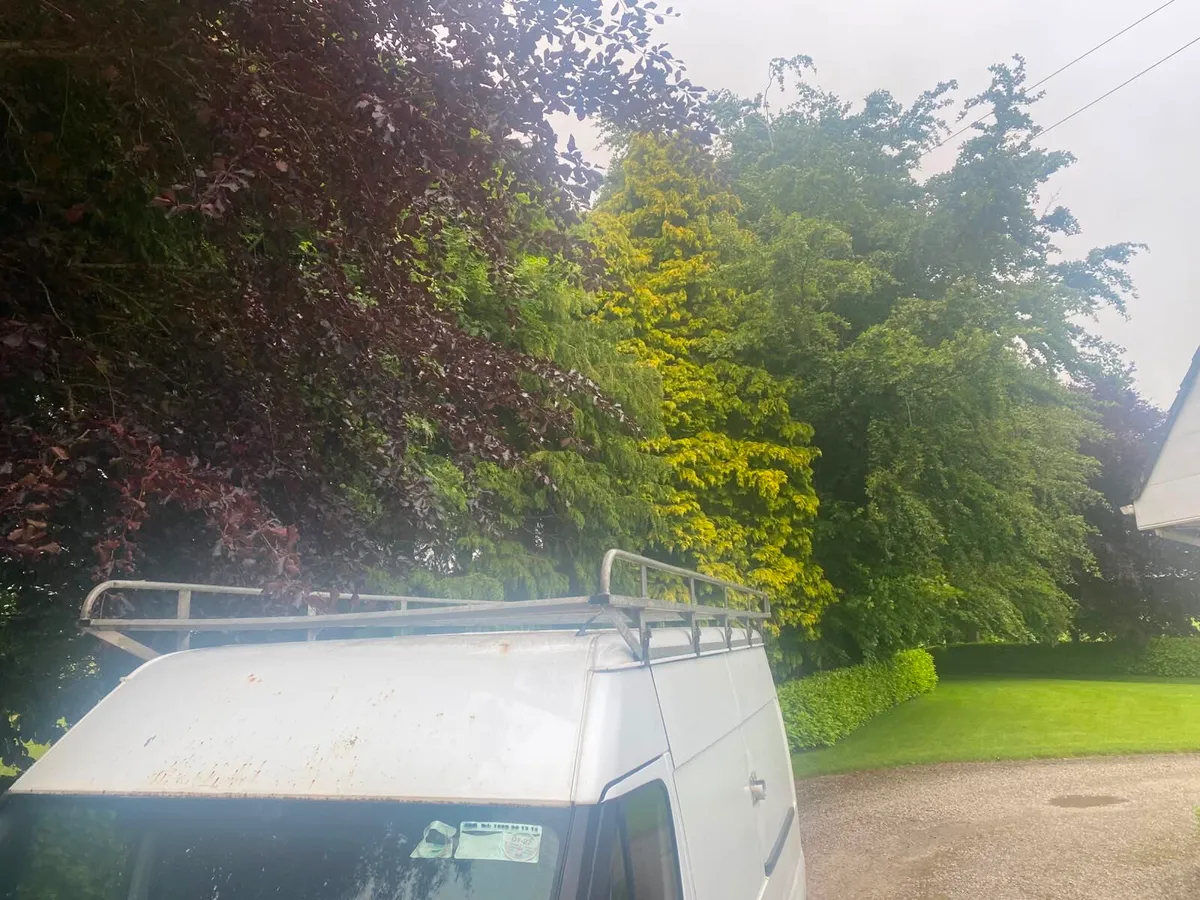 Van roof rack - Image 2