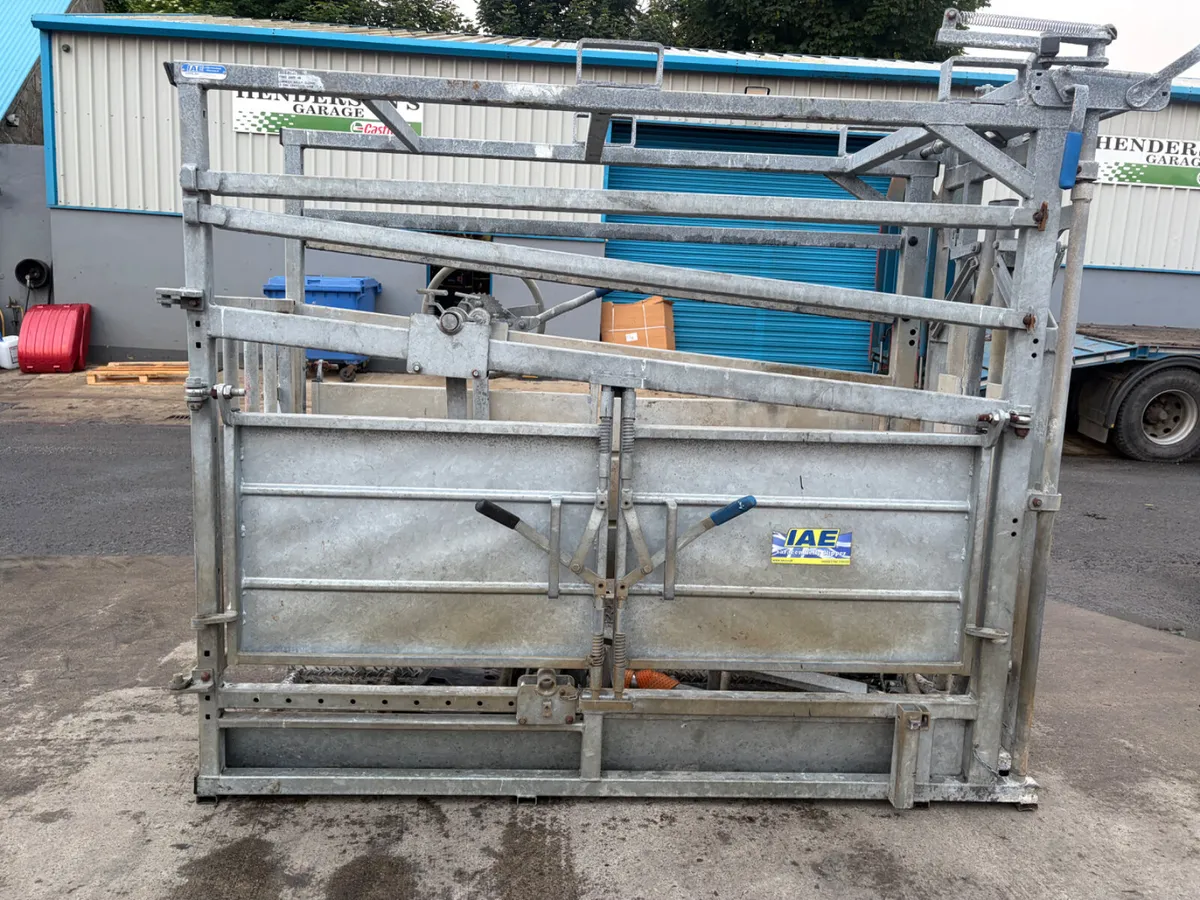IAE Cattle crush - Image 4