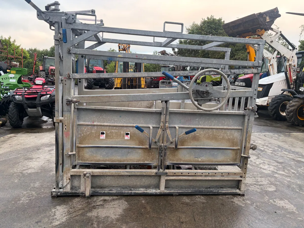 IAE Cattle crush - Image 2