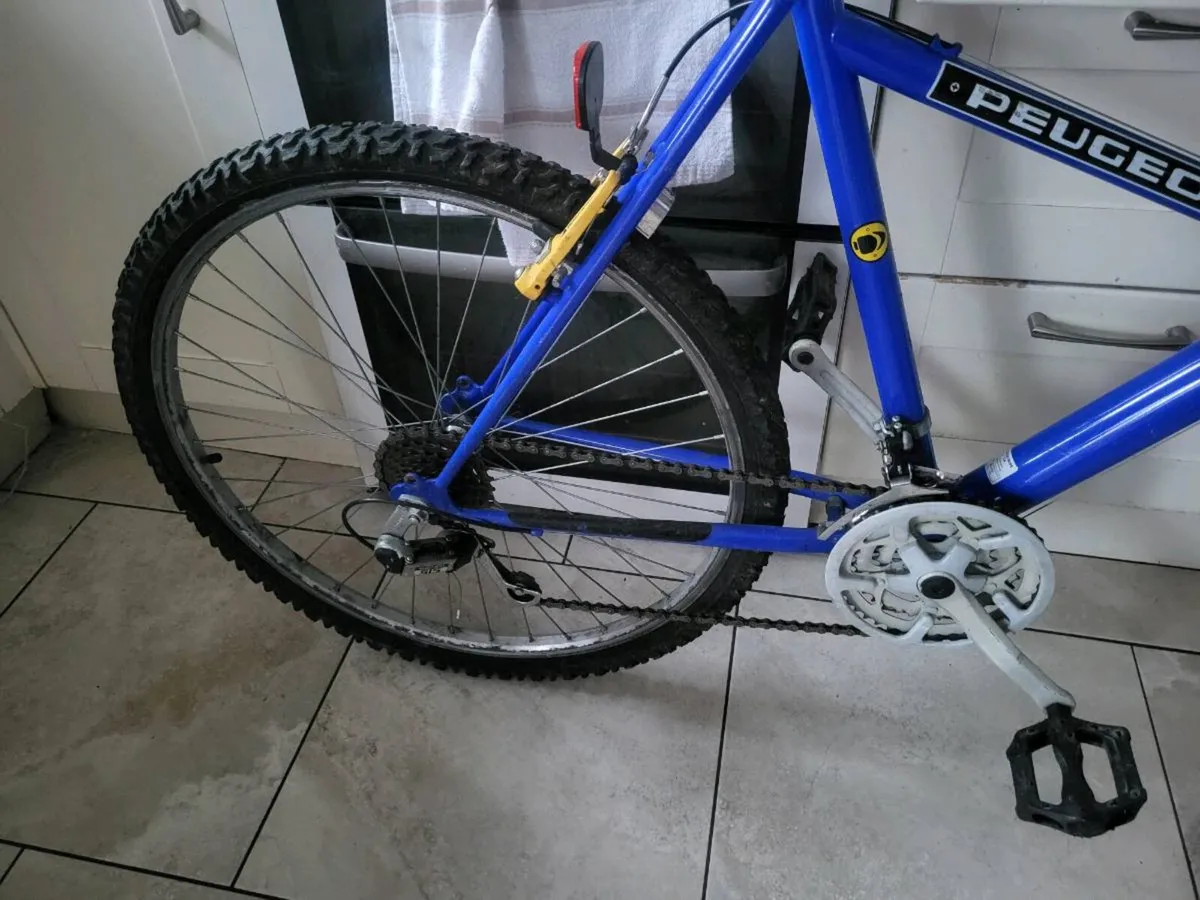 Retro bike - Image 3