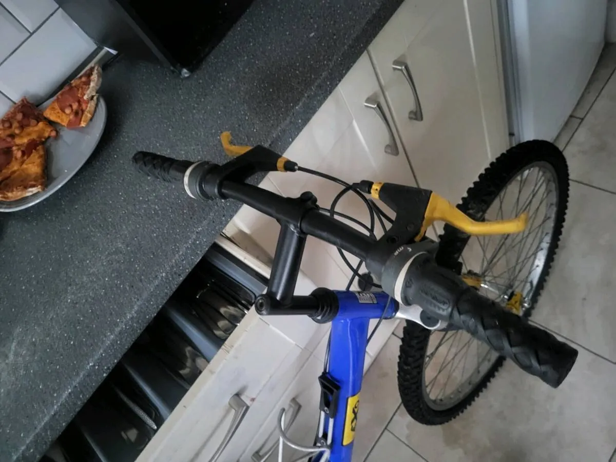 Retro bike - Image 4