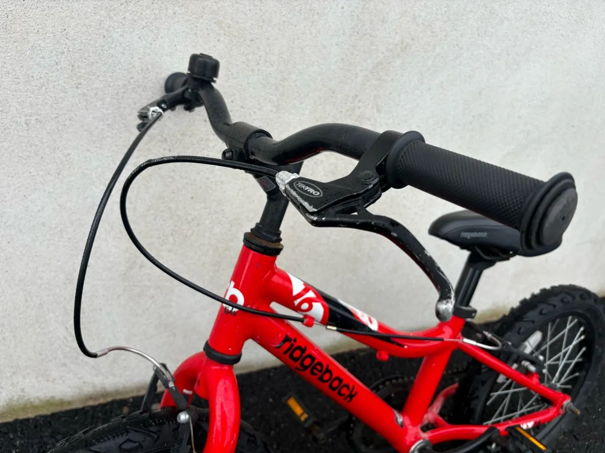 Ridgeback MX16 - Image 2