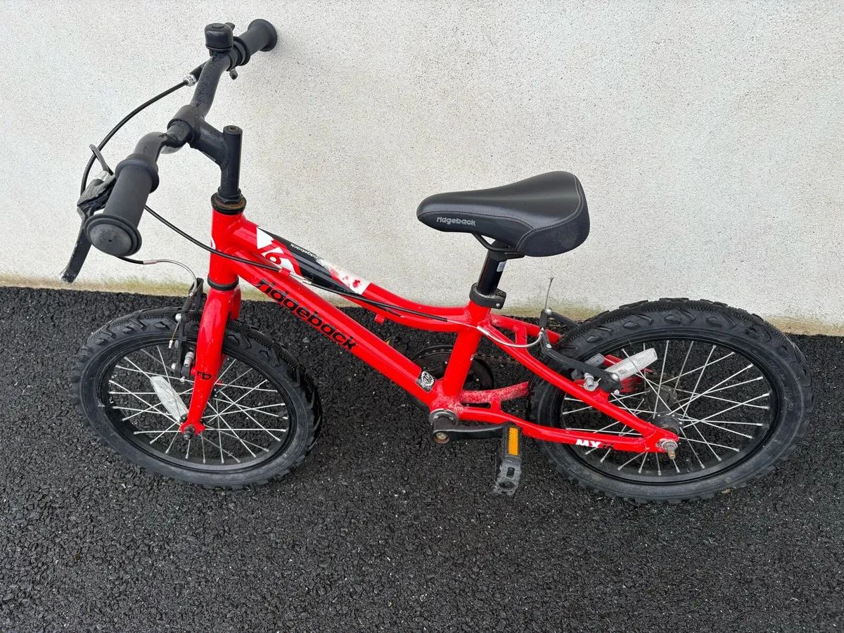 Ridgeback MX16 - Image 4