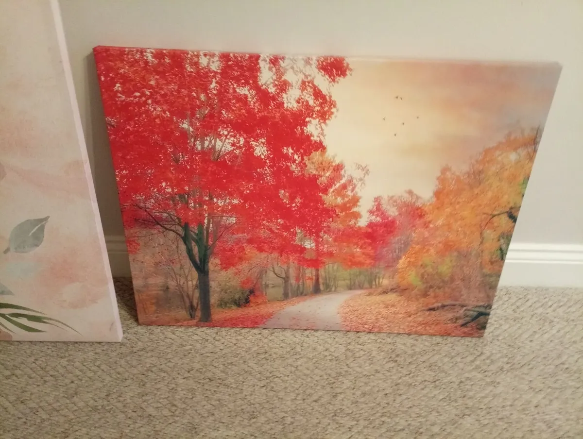 Pictures x 2 - Image 1