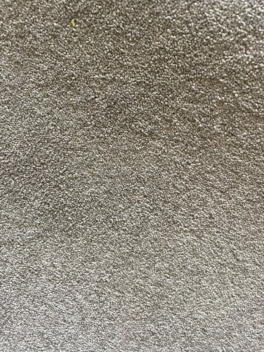 Carpet - Large dense cut pile - Mocha/taupe - Image 3