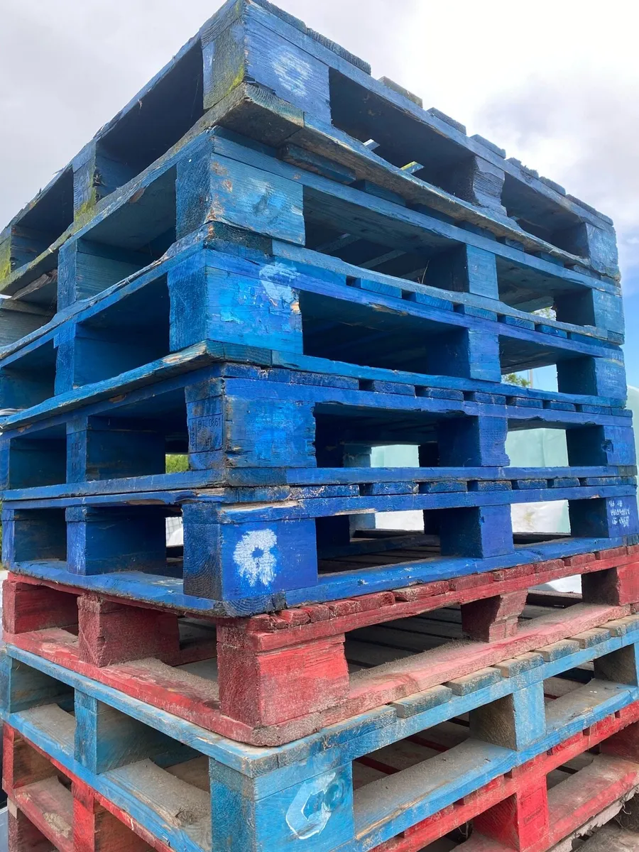 Quantity of Euro pallets and blue pallets - Image 4