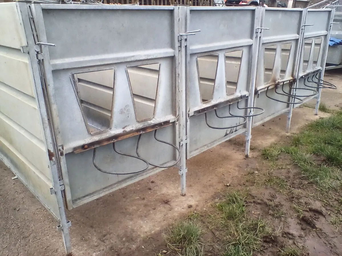 Single calf pens with slats - Image 1