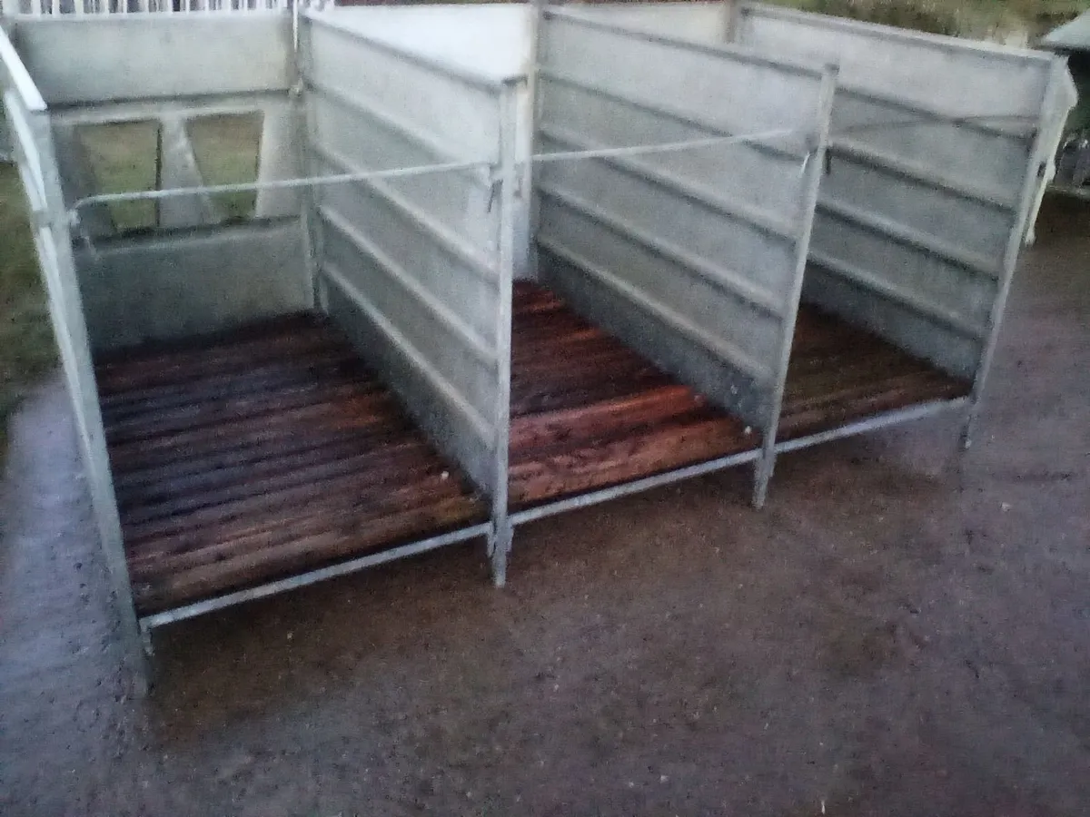 Single calf pens with slats - Image 2