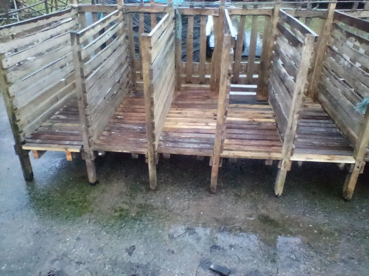 Single calf pens with slats and calf  shed - Image 4