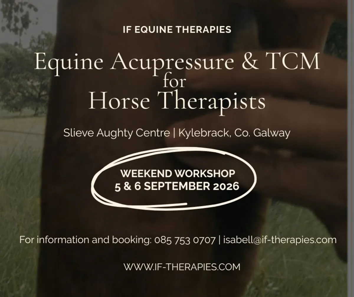 Equine Acupressure for Horse Therapists - Image 1
