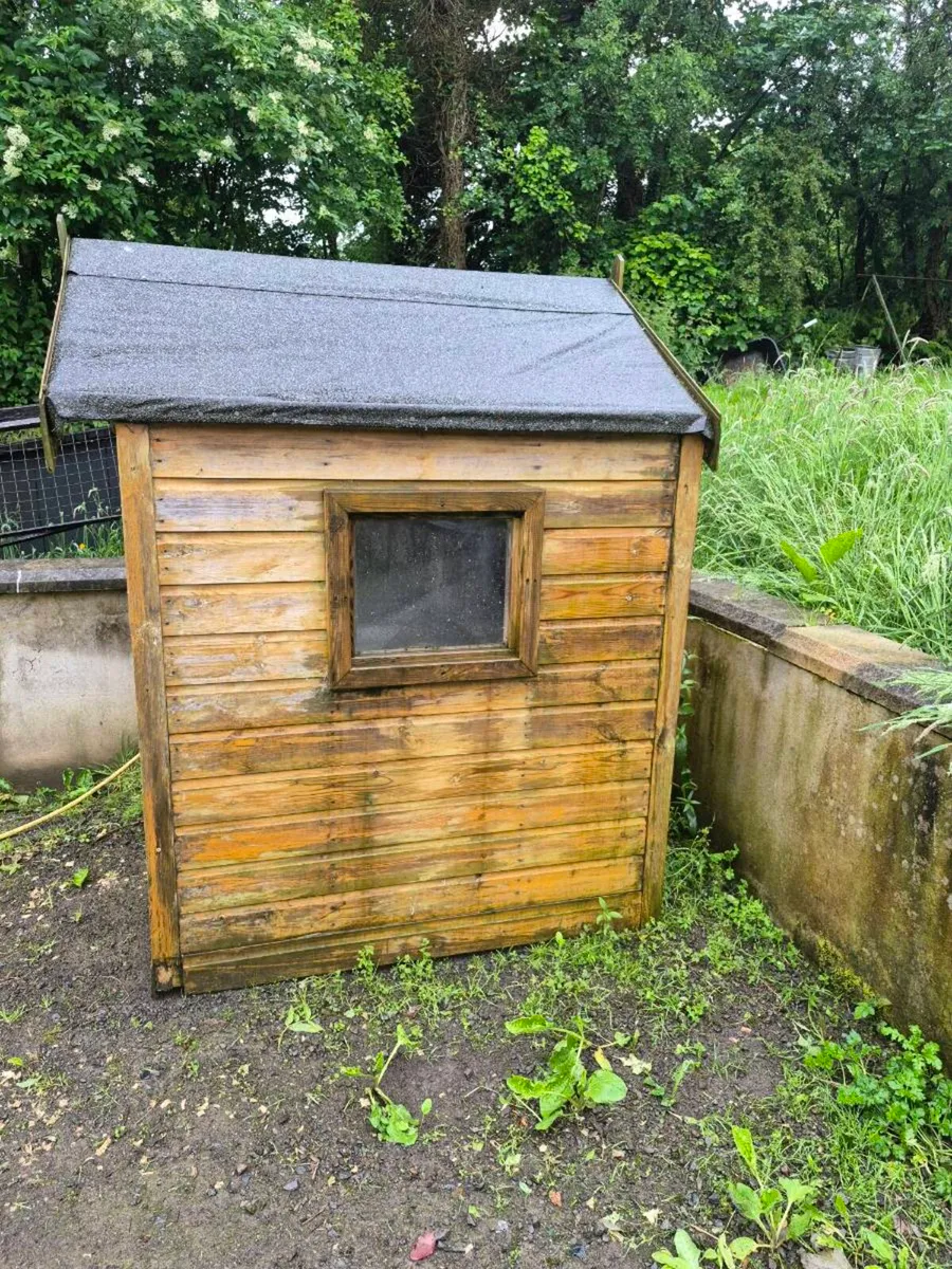 Shed - Image 1