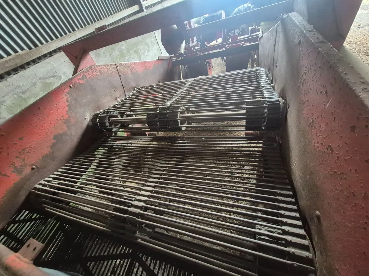 Grimme Potato windrower - Image 2