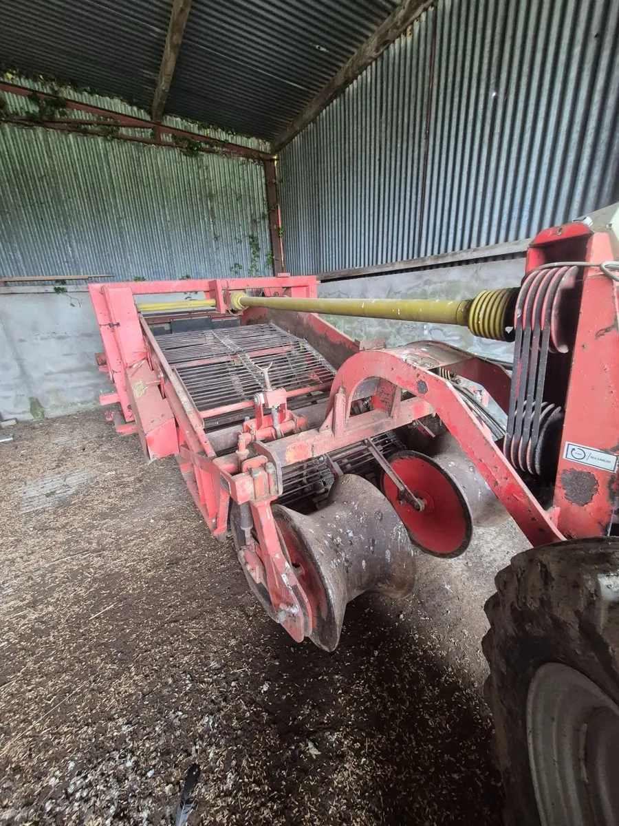 Grimme Potato windrower - Image 4