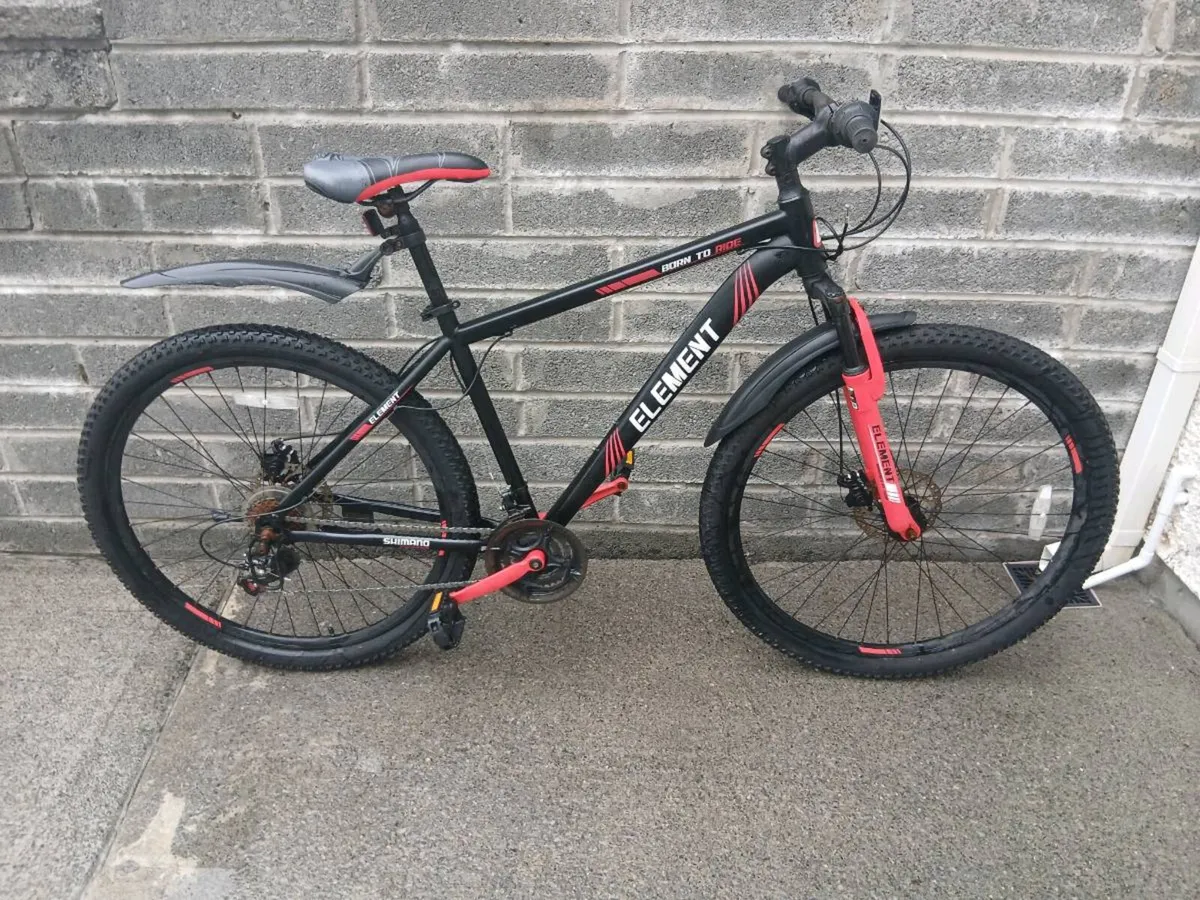 ADULTS BIKE - Image 1